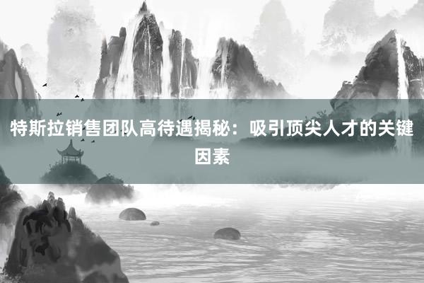 特斯拉销售团队高待遇揭秘：吸引顶尖人才的关键因素