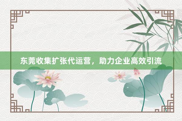 东莞收集扩张代运营，助力企业高效引流