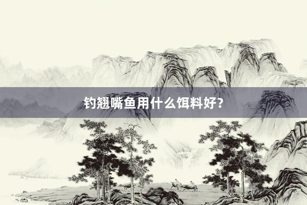 钓翘嘴鱼用什么饵料好？